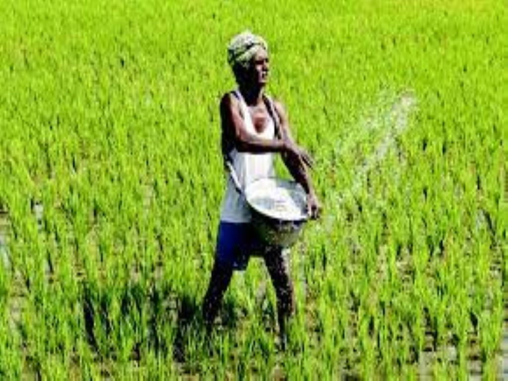 Centre refutes any shortage of fertilizers in rabi season, says there is enough supply