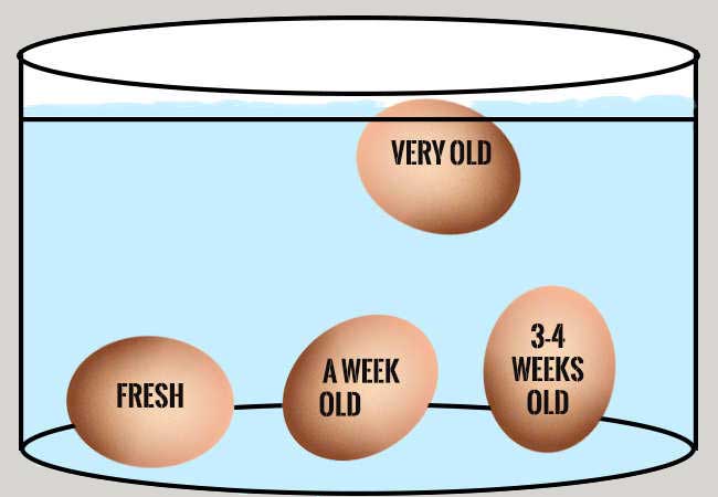 How do you know if the eggs are fresh?