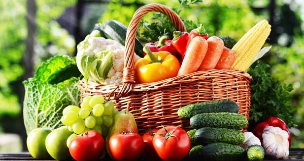 Market News November 26, 2022 – Price of most of the vegetables have reduced