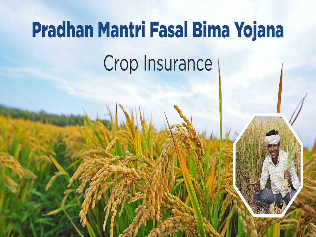 Under Prime Minister Fazal Bheema Yojana scheme farmers got 1.25 lakh crores claimed.