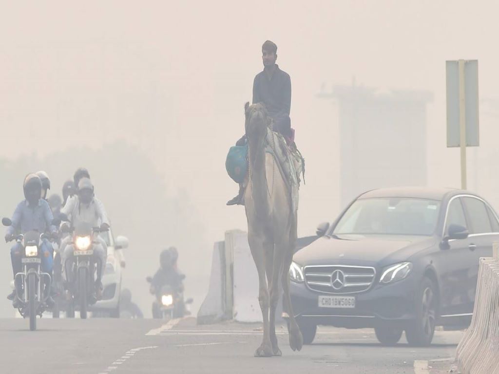 Delhi's air quality worsens and reported 310 in AQI