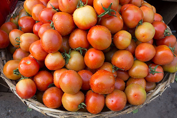Relief for tomato farmers! Tomatoes will be procured by the cooperative department