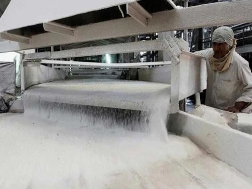 Sugar production in India till December 15 has increased up to 5.1% says ISMA