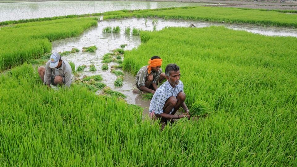 December 23: National Farmers Day 2022