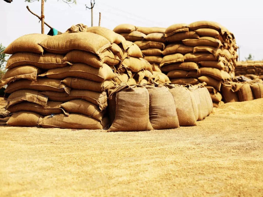 Wheat sown in 286.5 Hectares of land in this Rabi season