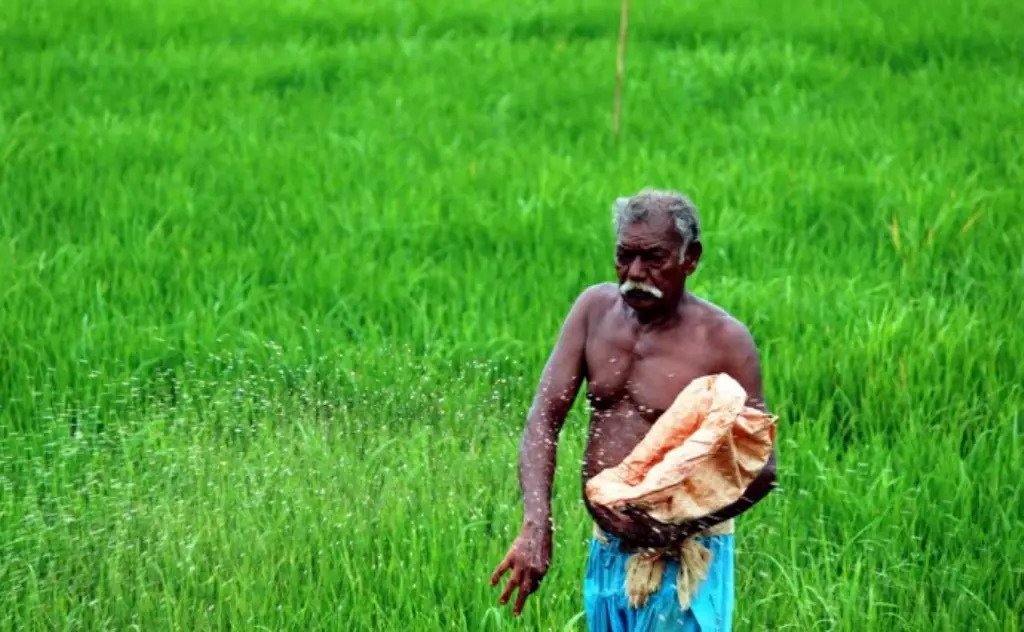 The central government plans to withdraw subsidy for fertilizers