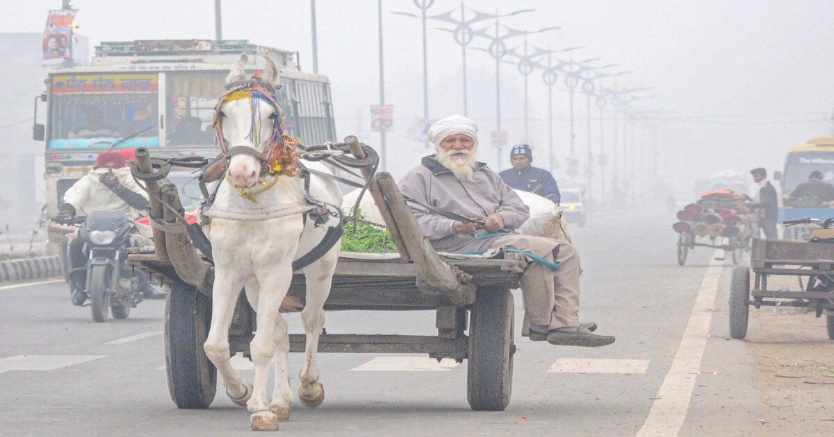 More than 10 districts in Punjab is low in temperature when it compared to Shimla