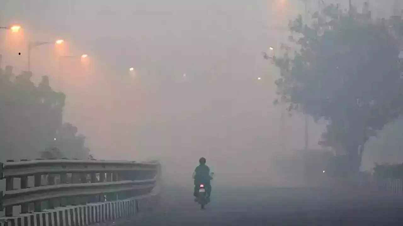 Cold wave intensifies in Delhi, here's what you need to know...