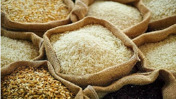 Central Govt's rice procurement rises 10% and reaches 541.90 Lakh tonnes