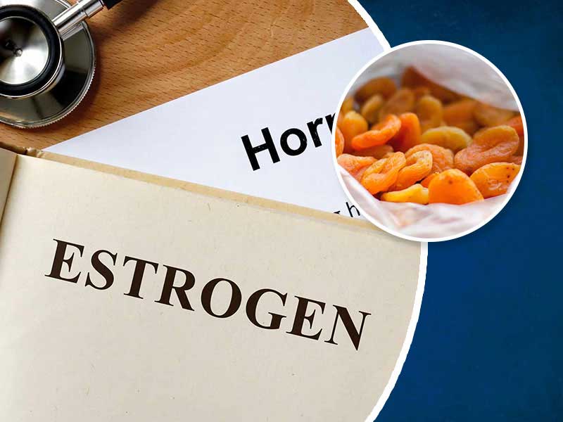 Things to keep in mind to increase the production of Estrogen in women