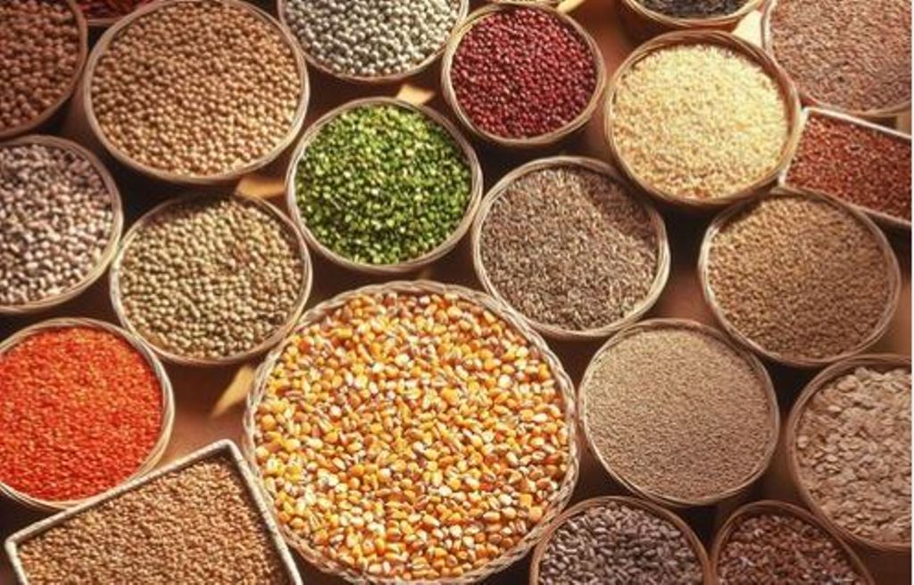 India needs to increase production and processing of millets: Narendra Singh Thomar
