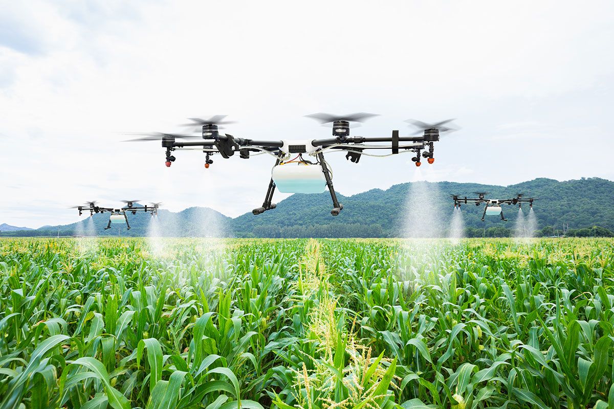 Rajasthan govt will give drones to farmers for rent
