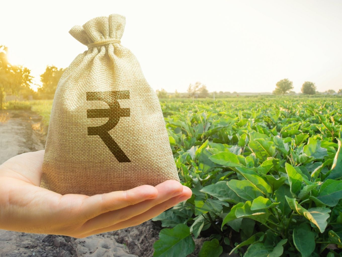 PM Kisan financial assistance for farmers should increased, Agritech startups should add tax relief says industry experts