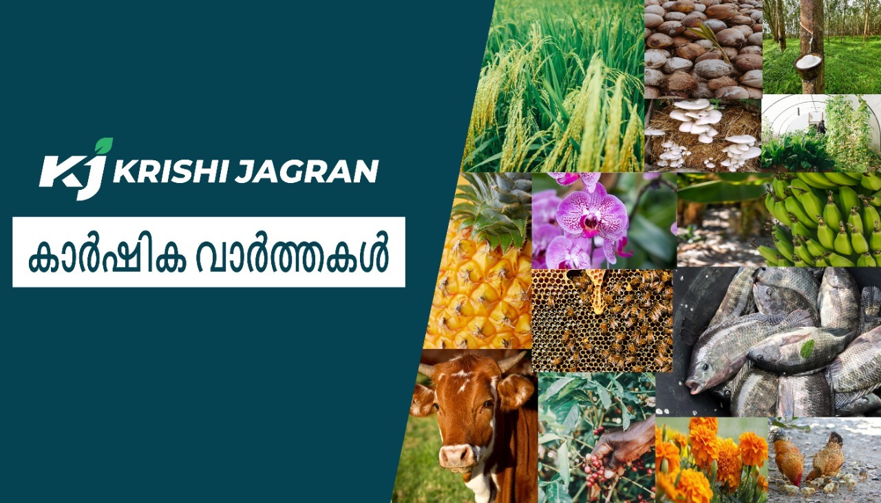 The Vaiga Mela will be held from February 25 to March 2 at the Putharikandam Maidan; More farming news