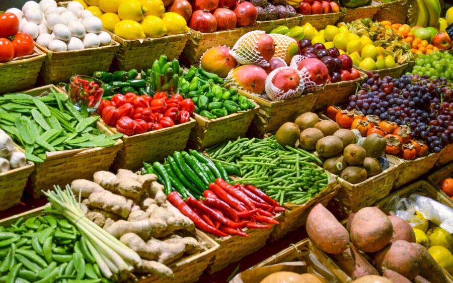Market News February 15, 2023 – Elephant yam, Cucumber, Cabbage, Tomato, Beans (English)