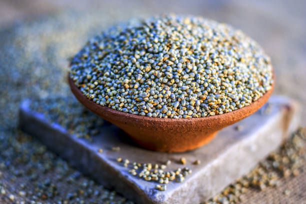 Karnataka govt introduces Millet incentive scheme for Horticultural exports