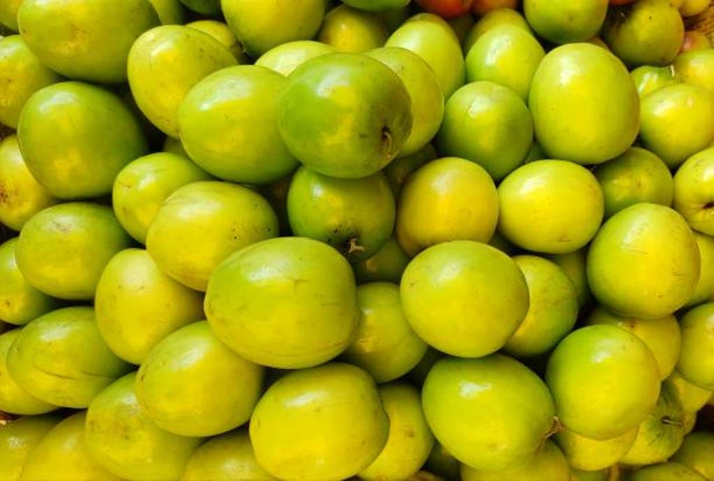 Health benefits of ber fruits; more informations