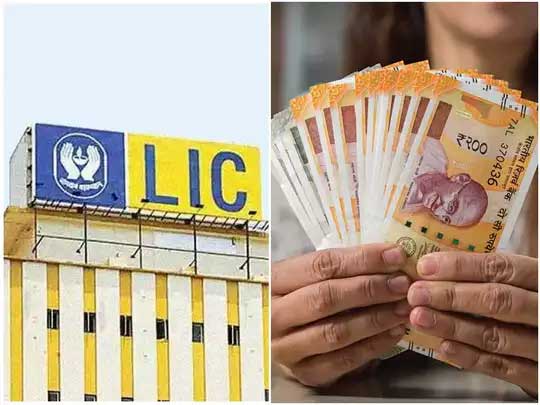 LIC Bima Ratna Scheme: Invest Rs 5 lakh and get Rs 50 lakh !