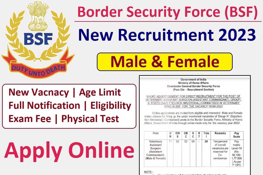 BSR Recruitment 2023: Apply online for various posts