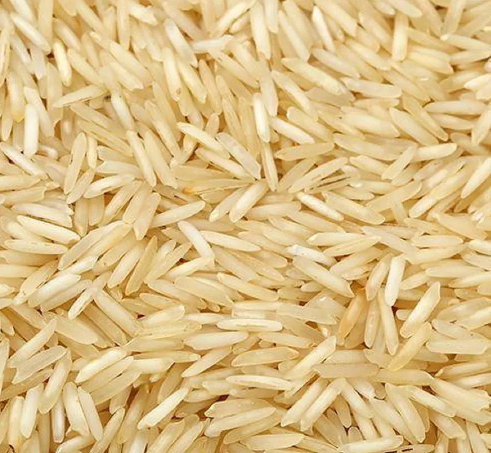 Pusa Basmati rice 1637 got attention in ICAR's Fest