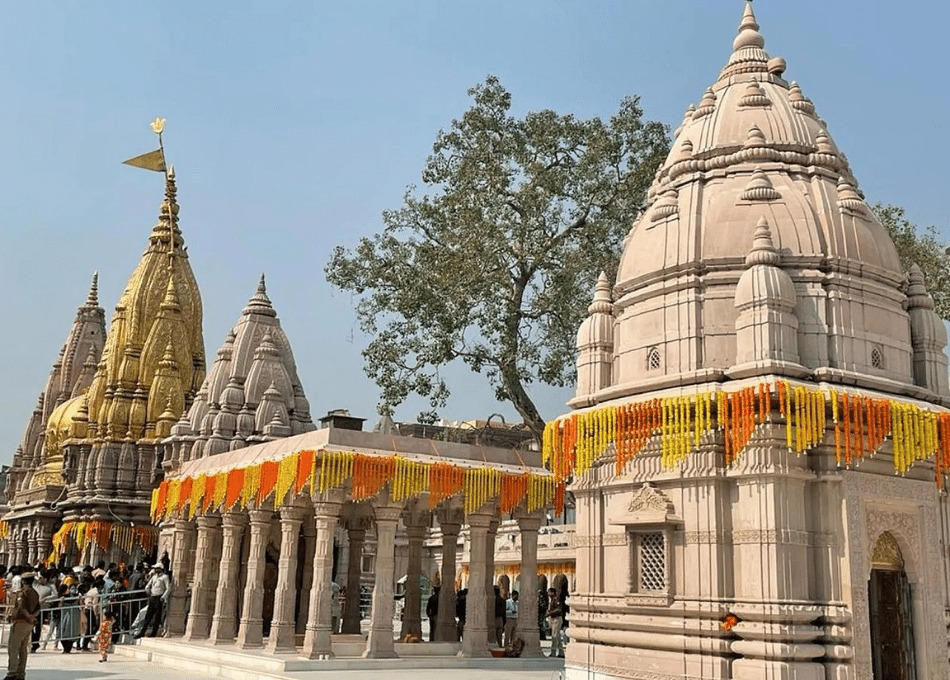 Millets Prasad: Kashi Vishwanatha temple offers Millets Prasad to devotees