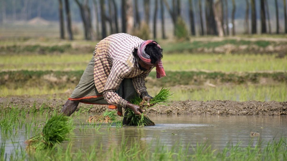 ITC and Axis Bank joins to provide loan facilities for farmers in rural areas.