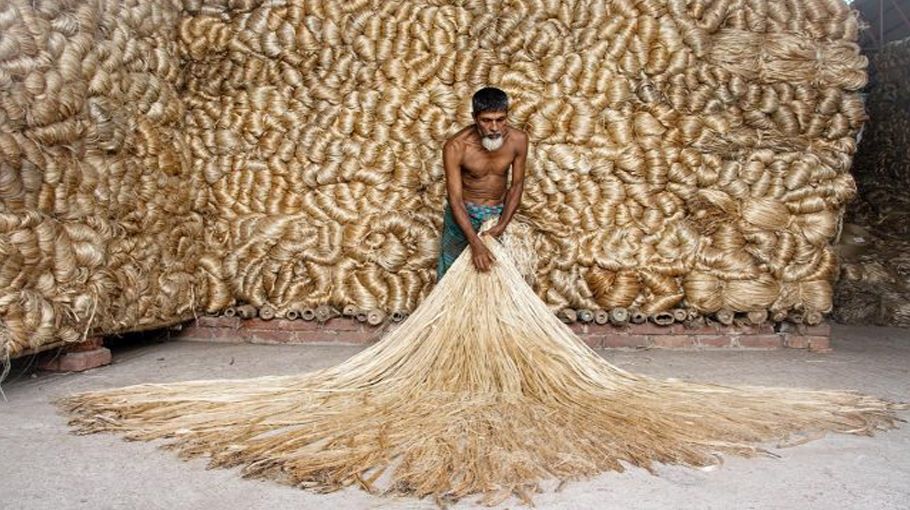Govt hike price of Raw jute MSP Price by 300 rupees, now its 5050 per quintal
