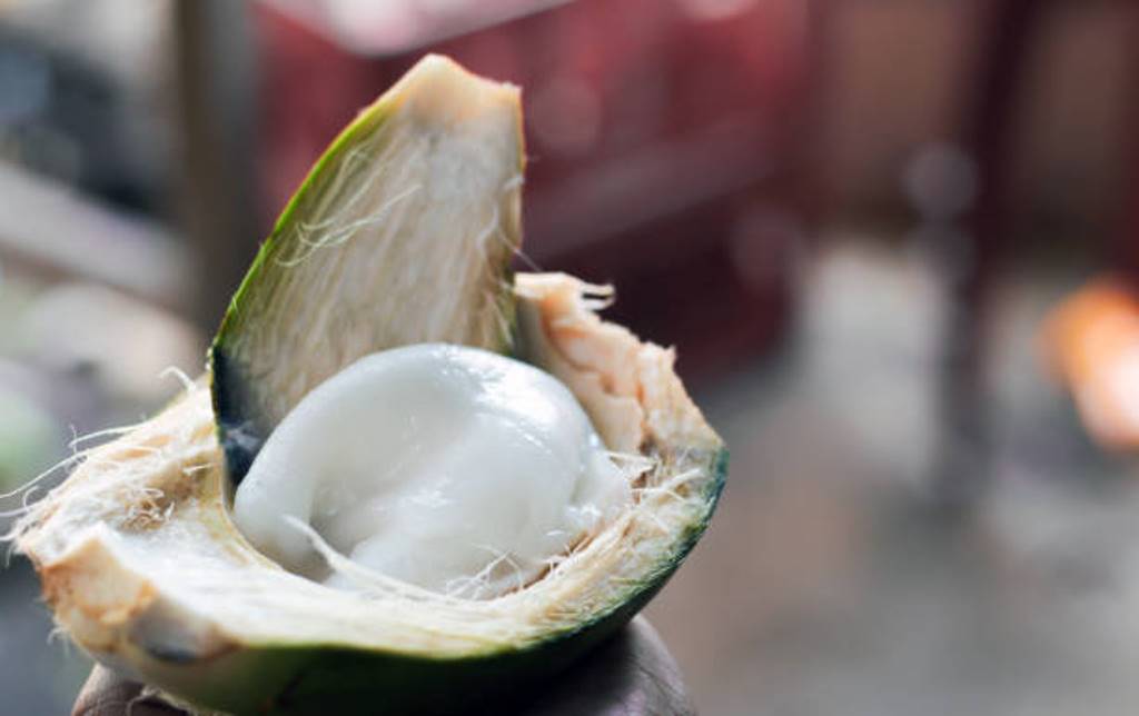 Health benefits of coconut malai