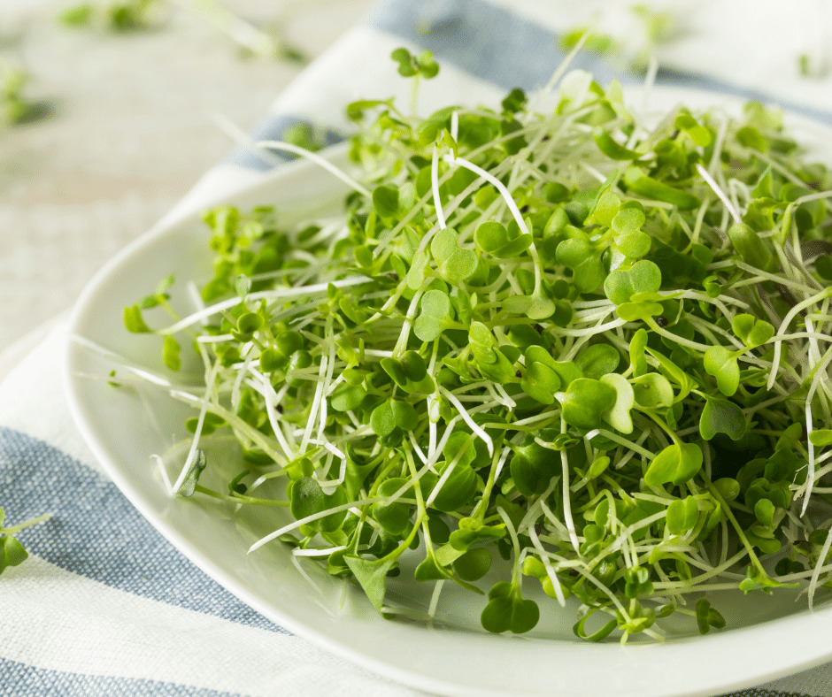 how to grow microgreens, what are the benefits of microgreens