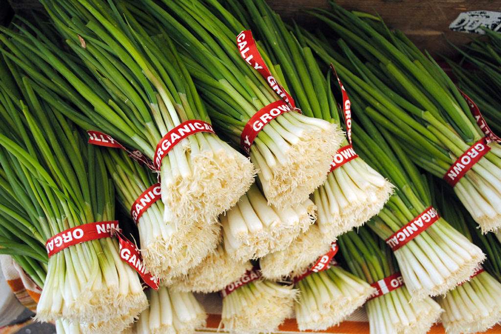 health benefits of spring onion, lets find out more