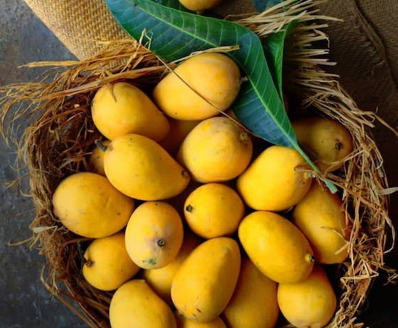 Mango: How to identify artificial mangoes?