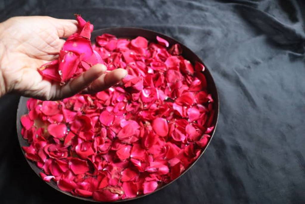 Rose water can be used to remove dandruff and grow hair