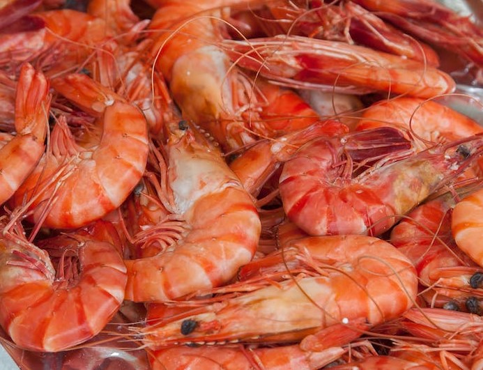 The shrimp export in India will acquire 5% of growth says Crisil Report
