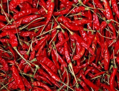 red chilly