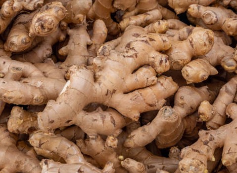 Ginger price is surging high in Kerala