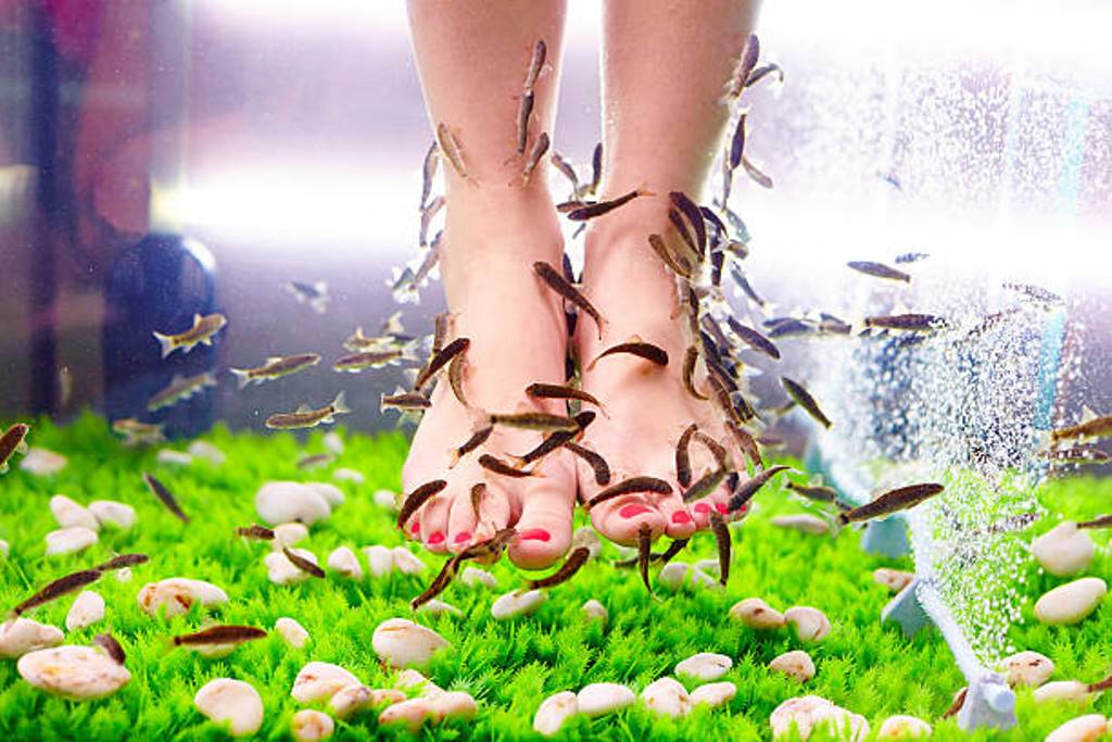 Fish Pedicure: Feet need nothing more to be beautiful