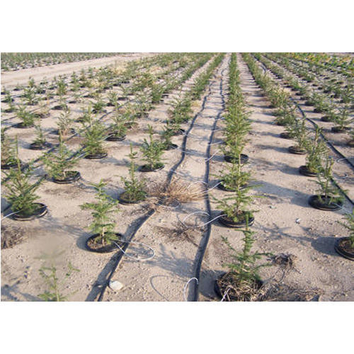 drip irrigation