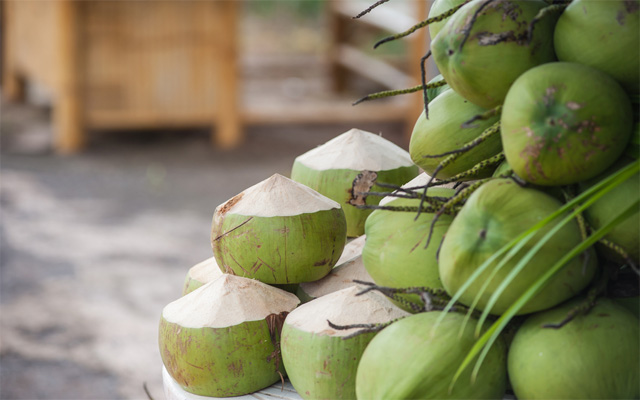 coconut tender
