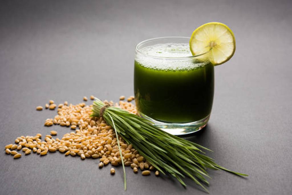 Wheat grass juice will help you to reduce your weight
