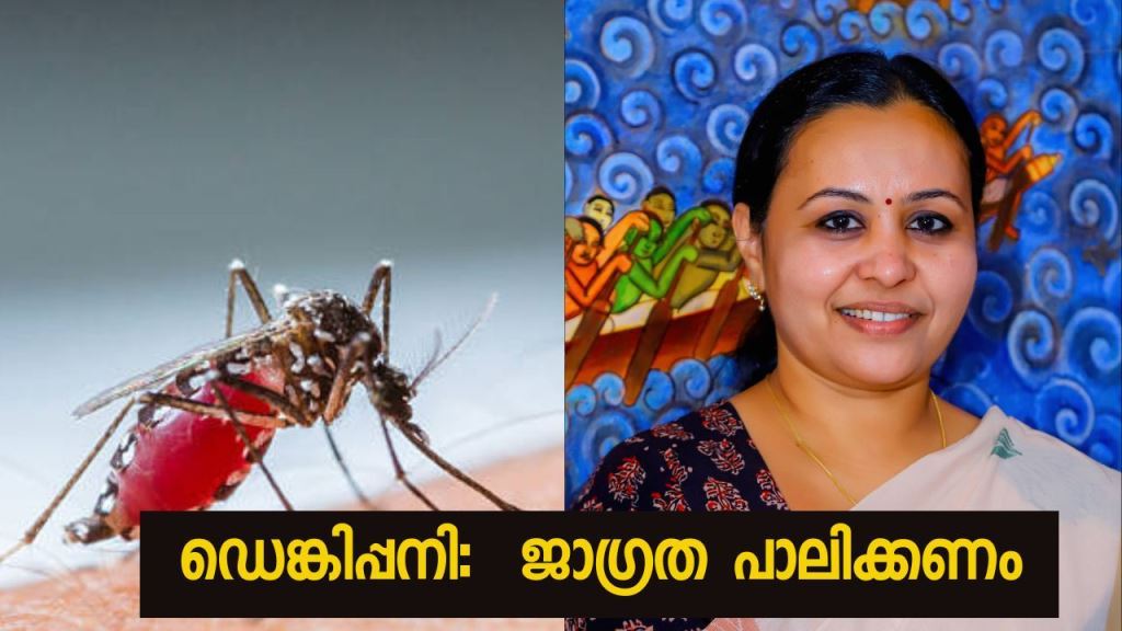 Care must be taken not to spread dengue fever: Minister Veena George