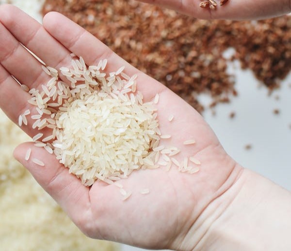 Govt give permission to export broken rice in different countries