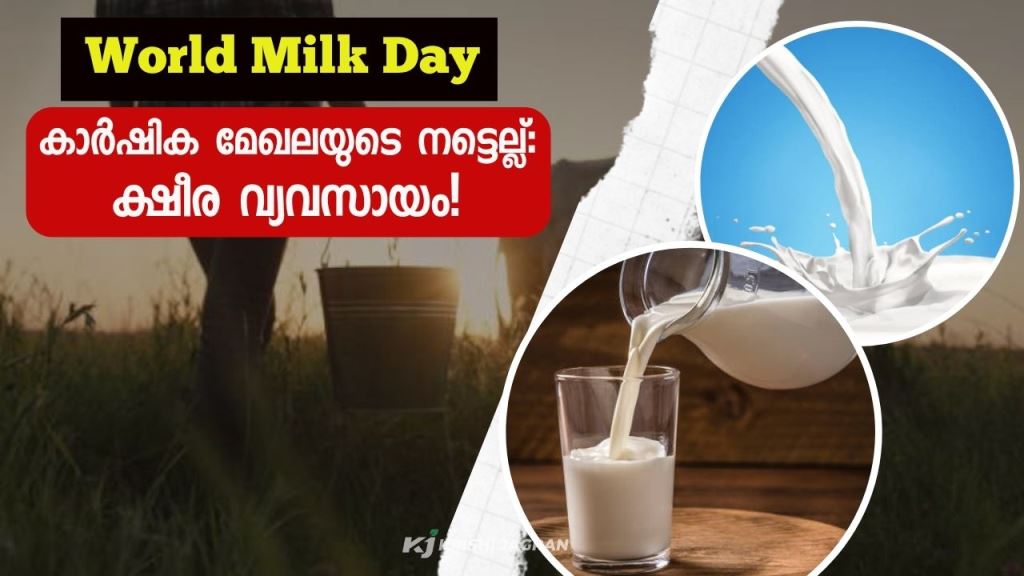 World Milk Day: The dairy industry is the backbone of the agricultural sector