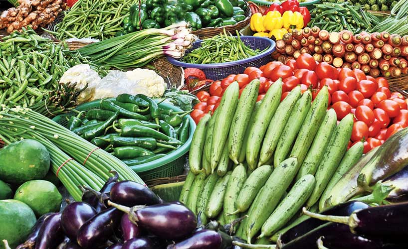 Market News June 6, 2023 – Beetroot, carrot, Brinjal, Cucumber