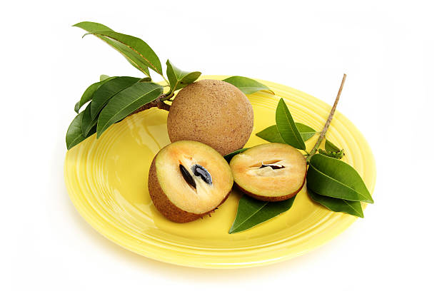 Chikoo is known for its taste, lets find out more..