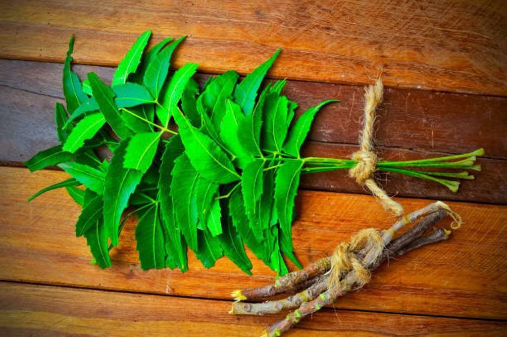 Wash your hair with neem leaves! Prevents dandruff