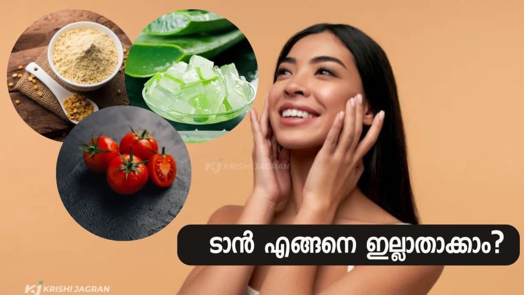 Spotless Skin Naturally at Home | SimpleTips Malayalam - YouTube | Natural  face skin care, Dry skin natural, Face brightening
