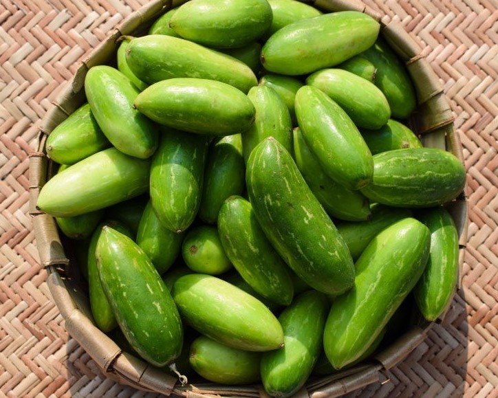 Ivy gourd improves metabolism and reduce blood sugar