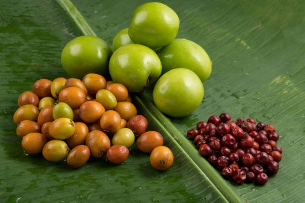 Health benefits of jujube fruits
