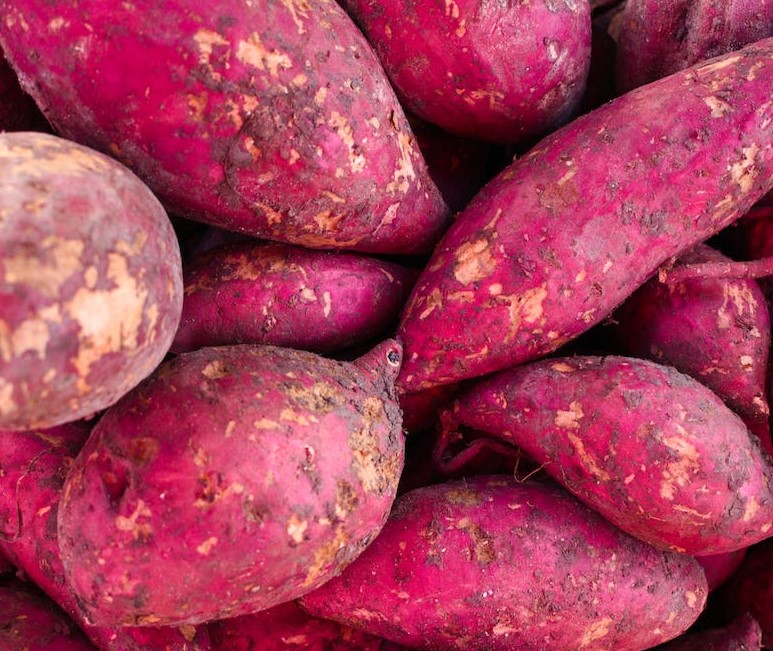 For getting healthier body, add sweet potato's in your diet