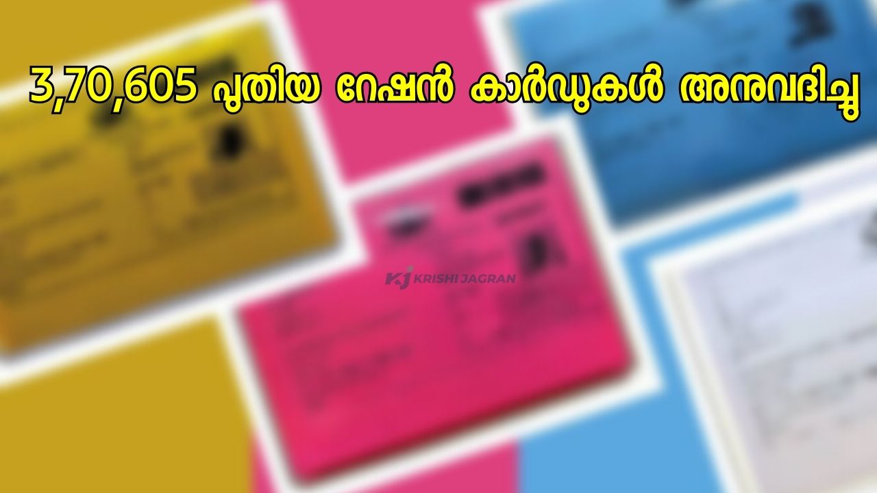 കേരളത്തിൽ 3,70,605 പുതിയ റേഷൻ കാർഡുകൾ അനുവദിച്ചു